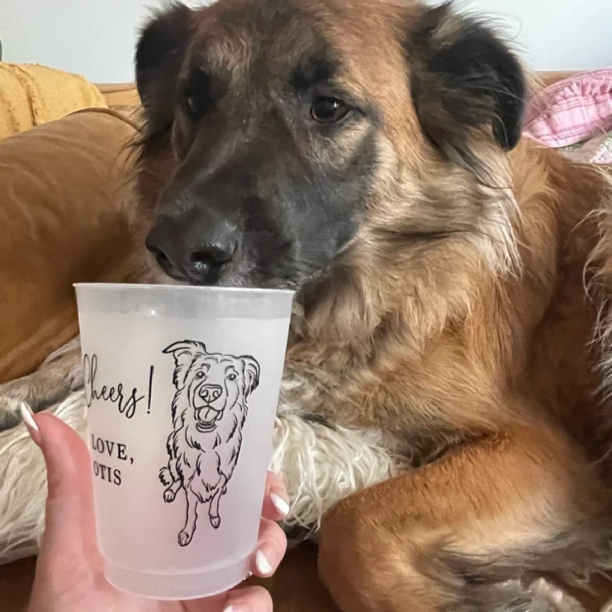 10/50 Copos Personalizados Fos - Plastic Cup 50Pcs avaliação e preço