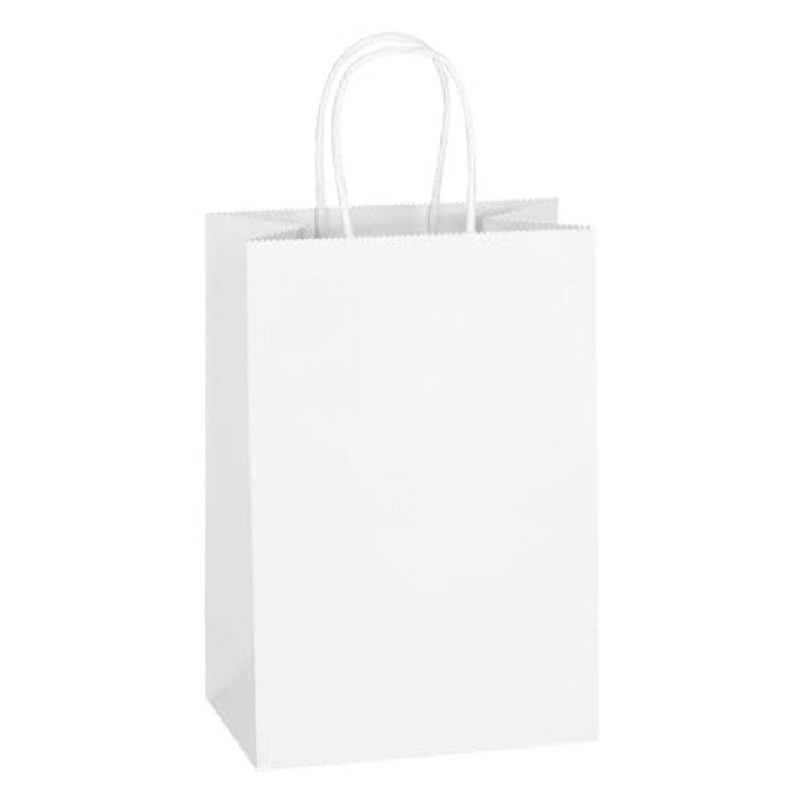 Pacote com 100 Sacolas de Pape - Party Favor Bag avaliação e preço